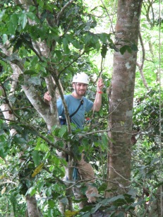 Working in the canopy